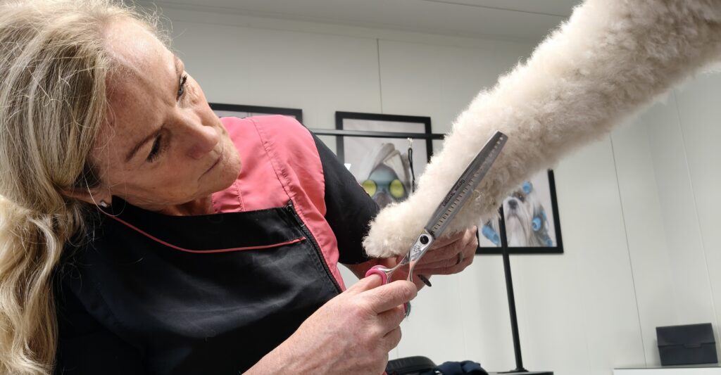knippen van haren van een poot