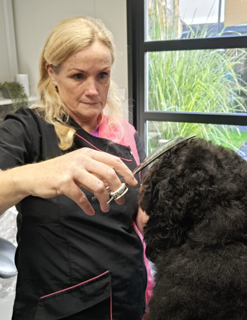 knippen van jouw hond bij de trimsalon